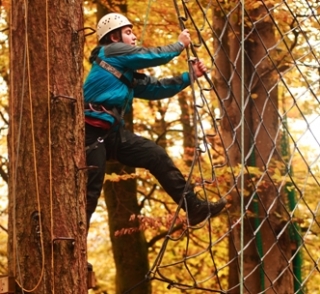  Profitez de vous balancer dans les arbres 